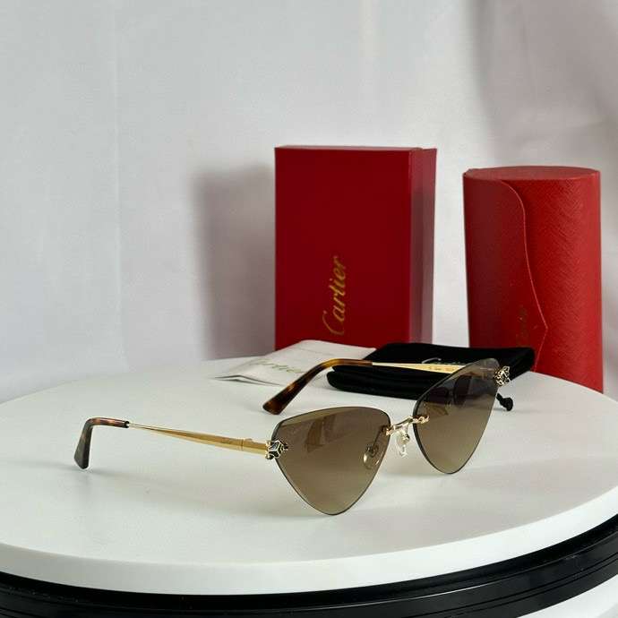 Picture of Cartier Sunglasses _SKUfw55795468fw